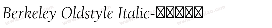 Berkeley Oldstyle Italic字体转换